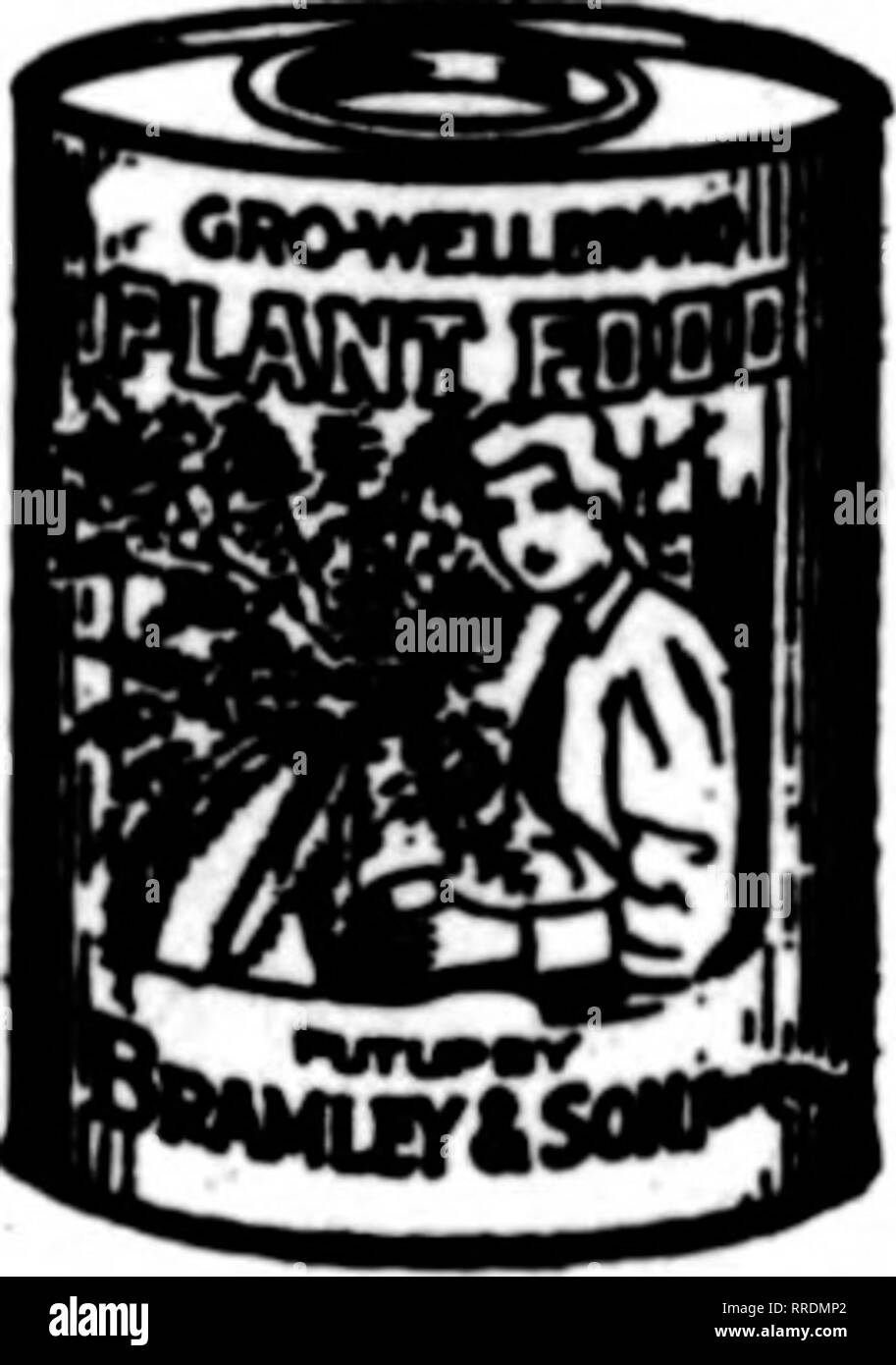 . Floristen Review [microform]. Blumenzucht. 108 Die Rorists 'Review JUM 2, POINSETTIEN 1921 Dieses beliebte Weihnachten Pflanze hat einer unserer führenden Spezialitäten geworden. Wir haben unser Lager jedes Jahr erhöht, bis jetzt haben wir einen der größten Bestände im Land. Wir sichern Ihnen durch die Tausenden und Wurzel, die so bereitwillig wie Coleus. Unsere jungen Pflanzen haben einen Ruf, der Nation. Sagen Sie uns einfach, wie viele Sie benötigen. Wenn. Wir erledigen den Rest. Buchungsaufträge jetzt für Juli und eine spätere Lieferung. Von 2% Zoll Töpfe bei $ 8,00 pro 100, $ 75,00 pro 1000, plus 5 Prozent Verpackung berechnen. Mamas Schreiben Sie uns Stockfoto