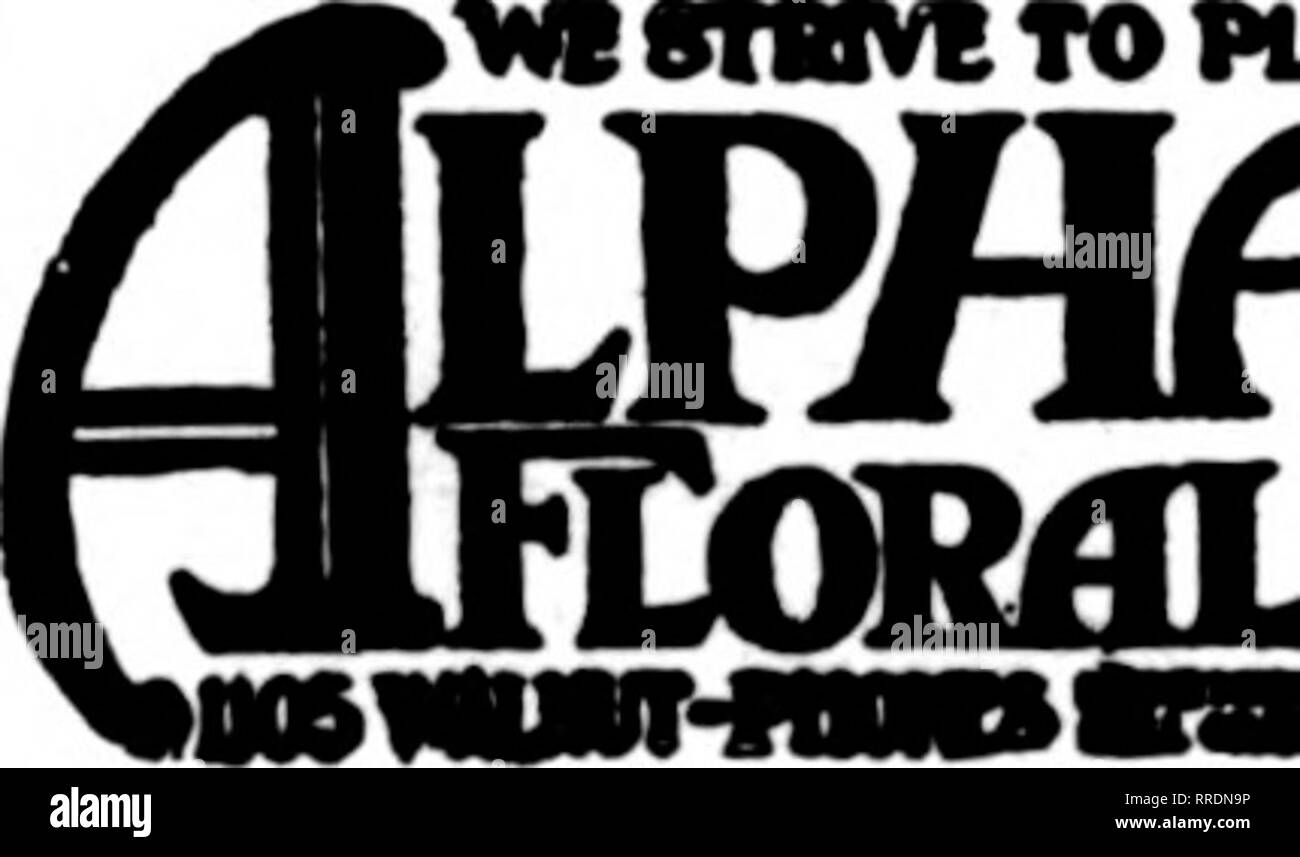 . Floristen Review [microform]. Blumenzucht. Qualität und Service! Ich möchte Ihre F. T. D. Business m CINCINNATI Blumen zu erwähnen, ist daran zu denken,^) doo ^&gt; j^h^Mitglied von X F. T.D./138-140 OSTEN VIERTE STRASSE Zehn-minute-Service Covington, Newport, Bellevue und Dayton, Ky. KANSAS CITY, MO. ein FLayERB Mitglied F. T. D.4700 Station Parkway KANSAS CITY MISSOURI ^,- fc iLORISTS 11 EAST TENTH STREET KANSAS CITY f^^ Elften und McGee Sts. COLUMBIA, MO. COLUMBIA FLORAL CO. Auf halbem Weg zwischen St.^ uia und Kansas City. Joplin, MO AMERIKANISCHE FLORALSHOP J.E.MEINHART. Vorschl.. 216 W. 4th St. Excelsior Sp Stockfoto