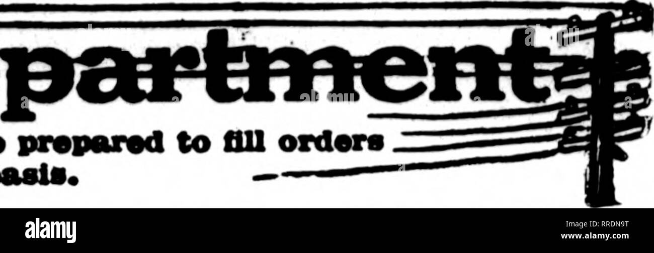 . Floristen Review [microform]. Blumenzucht. Th" florigf deren Karten auf Herz und Nieren tlie carrylnc dieser Kopf erscheint, sind bereit, Bestellungen aus anderen Floristen für die lokale Zustellung auf die üblichen hasls füllen.. Qualität und Service! Ich möchte Ihre F. T. D. Business m CINCINNATI Blumen zu erwähnen, ist daran zu denken,^) doo ^&gt; j^h^Mitglied von X F. T.D./138-140 OSTEN VIERTE STRASSE Zehn-minute-Service Covington, Newport, Bellevue und Dayton, Ky. KANSAS CITY, MO. ein FLayERB Mitglied F. T. D.4700 Station Parkway KANSAS CITY MISSOURI ^,- fc iLORISTS 11 EAST TENTH STREET KANSAS CITY f^^ Elften und McGee Sts. CO Stockfoto