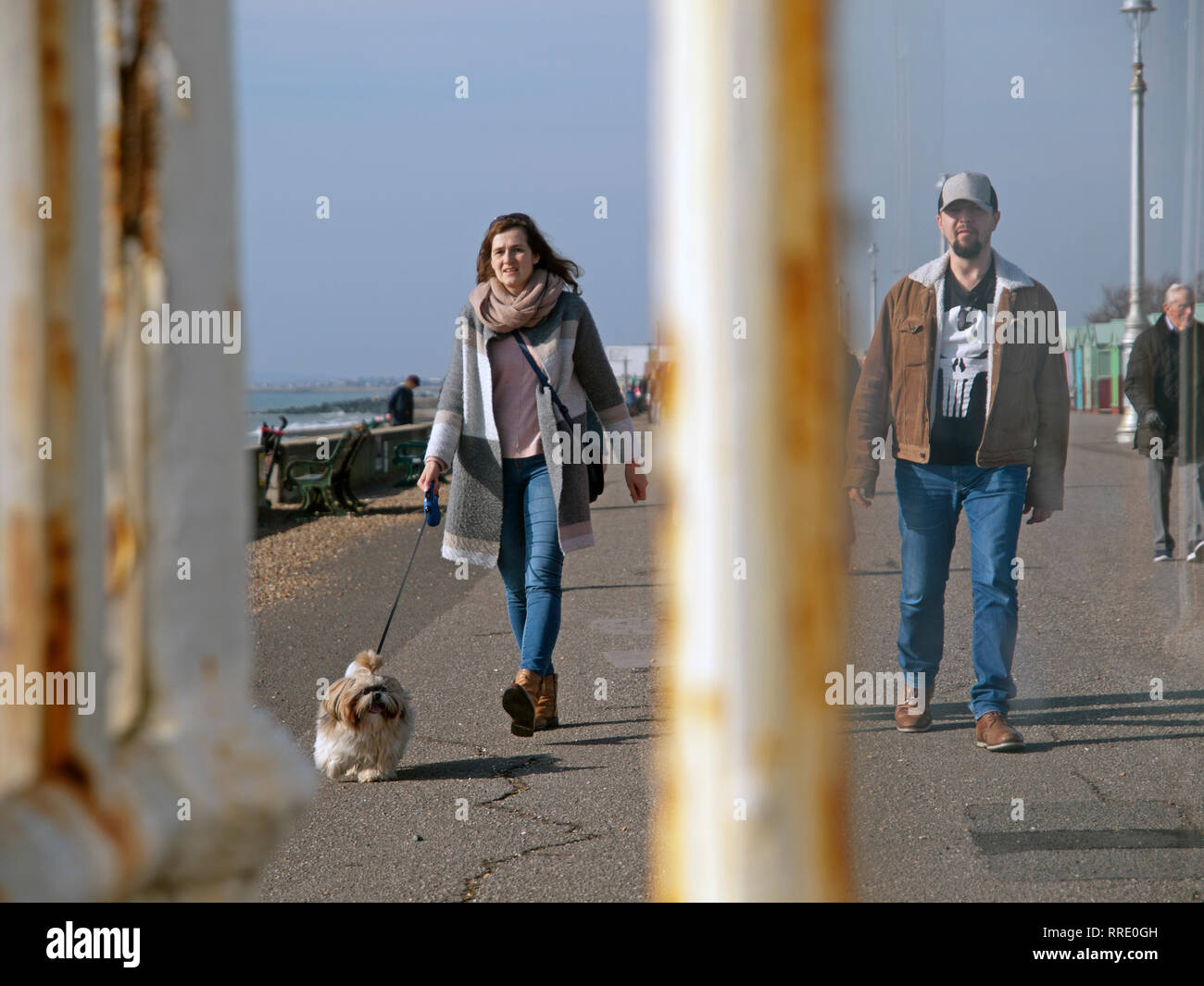 Spaziergang mit dem Hund entlang der Promenade Hove Stockfoto