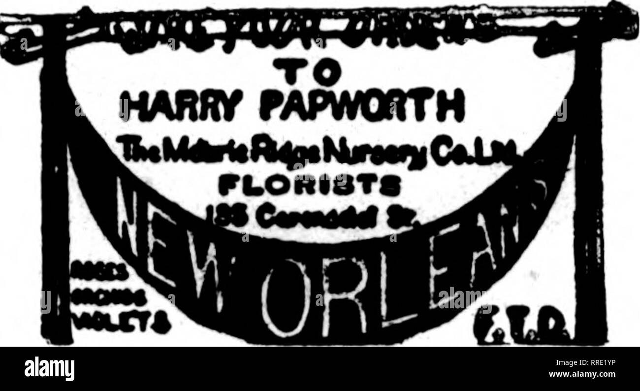 . Floristen Review [microform]. Blumenzucht. Decatur, 111. Ul MERCHANT ST. Guter Service MITGLIED F. T. D. UNTERSTÜTZT VON großen Gewächshäusern. NEW ORLEANS, LA. CHAS. EBLE ÄLTESTE FLORIST SÜDEN 121 Baronne Street Mitglied Floristen "Telegraph Lieferung. Bitte beachten Sie, dass diese Bilder sind von der gescannten Seite Bilder, die digital für die Lesbarkeit verbessert haben mögen - Färbung und Aussehen dieser Abbildungen können nicht perfekt dem Original ähneln. extrahiert. Chicago: Floristen Pub. Co Stockfoto