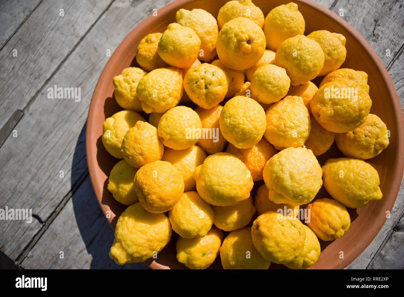 Große Schüssel mit gelben Zitronen in der Sonne. Stockfoto
