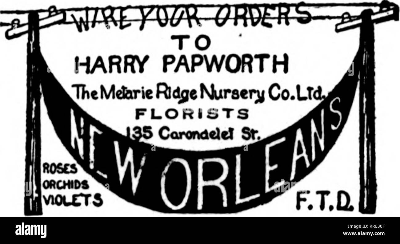 . Floristen Review [microform]. Blumenzucht. Decatui, 111. 141 MERCHANT ST. Guter Service MITGLIED F. T. D. UNTERSTÜTZT VON großen Gewächshäusern. NEW ORLEANS, LA. CHAS. EBLE ÄLTESTE FLORIST SÜDEN 121 Baronne Street Mitglied Floristen "Telegraph Lieferung. Bitte beachten Sie, dass diese Bilder sind von der gescannten Seite Bilder, die digital für die Lesbarkeit verbessert haben mögen - Färbung und Aussehen dieser Abbildungen können nicht perfekt dem Original ähneln. extrahiert. Chicago: Floristen Pub. Co Stockfoto