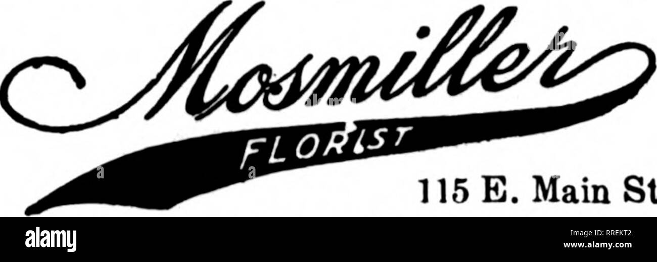 . Floristen Review [microform]. Blumenzucht. Mahch 24, 1921. Jlf noritf