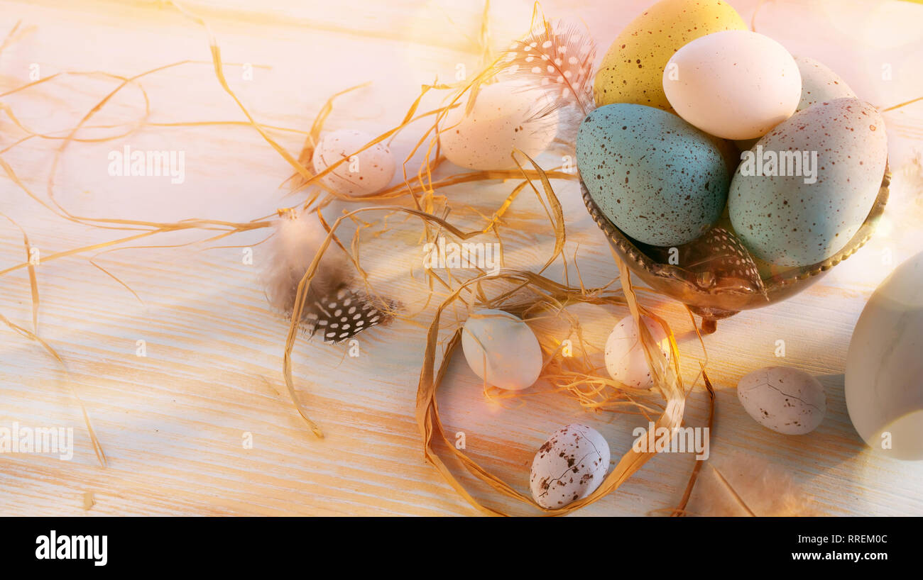 Ostereier im Weißen Holz- Hintergrund Stockfoto