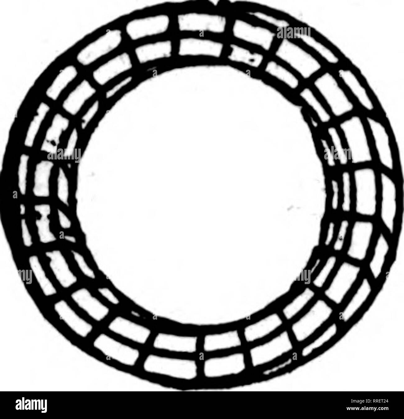 . Floristen Review [microform]. Blumenzucht. 56 Die Floristen^ Review NOTEMBBR 18, 1820 SPECI4L KABEL KRANZ ANGEBOT NUR für unsere Preise auf alle Kabel designs Fragen. Sparen SIE GELD JETZT BESTELLEN unsere neue Preisliste ist jetzt bereit. Für sie versenden. Crat" "Mit 50 10-Zoll. 25 12-Zoll- und 25 14-Zoll 7,50 $ 50 Ri-ineh, 25 14-Zoll und 2=) 16 Zoll 9 25 S! 12 Zoll,;" 14-Zoll- und 34 16-Zoll 9,50 50 12-Zoll. 60 14-Zoll- und 50 16-Zoll 13,75 Kiste mit 50 12-Zoll, 100 100 14-Zoll und 16-Zoll J 25,00 50 12 - Inca. 100 100 14 Zoll, 16 Zoll, 60 18-Zoll- und 50 20-Zoll 40,00 100 je 12,14, 16. 18 und 20-Zoll 68,00 B. E. Stockfoto