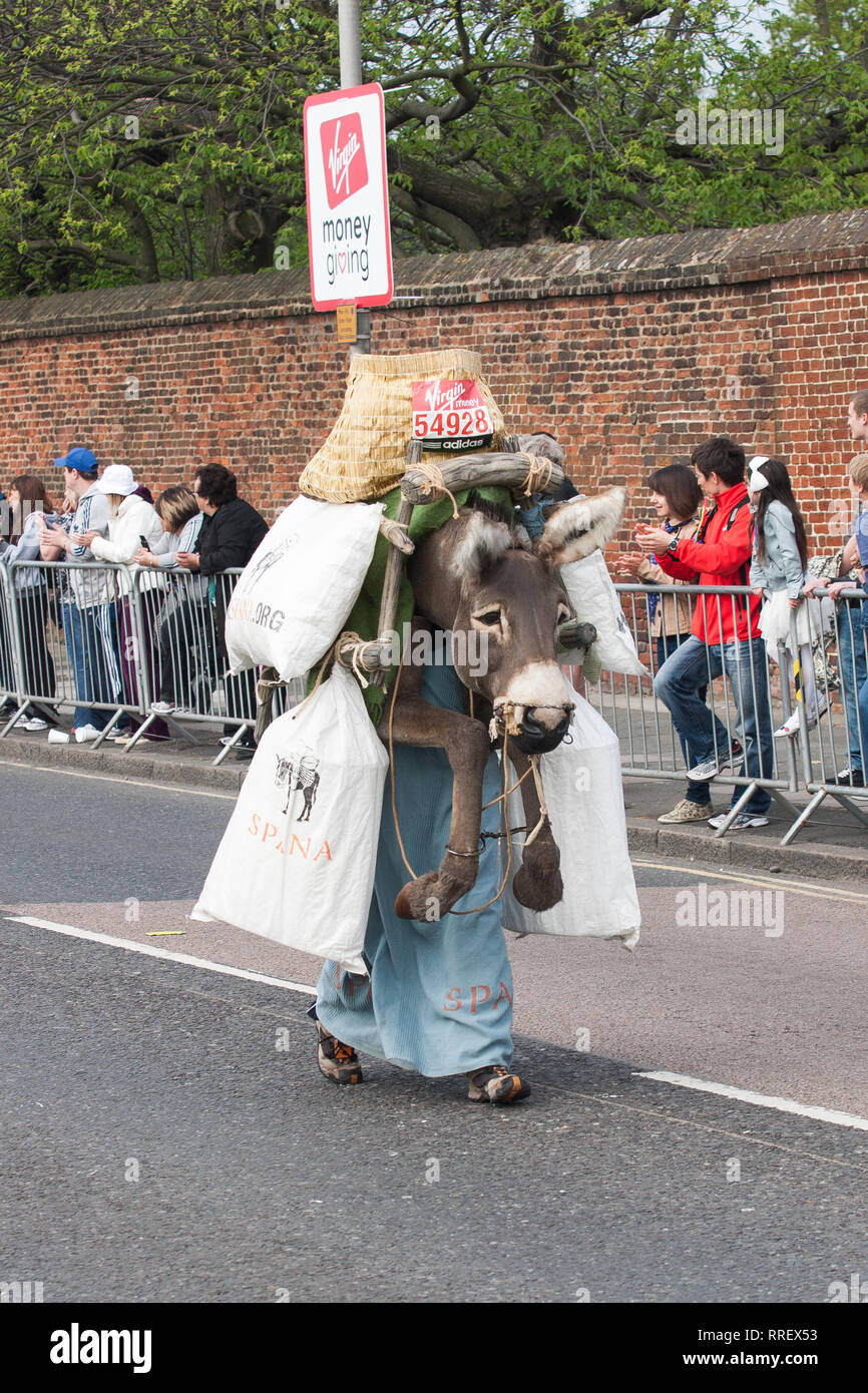 Start der Virgin Money London Marathon 2011, Greenwich Park, Royal Borough von Greenwich, London. Stockfoto