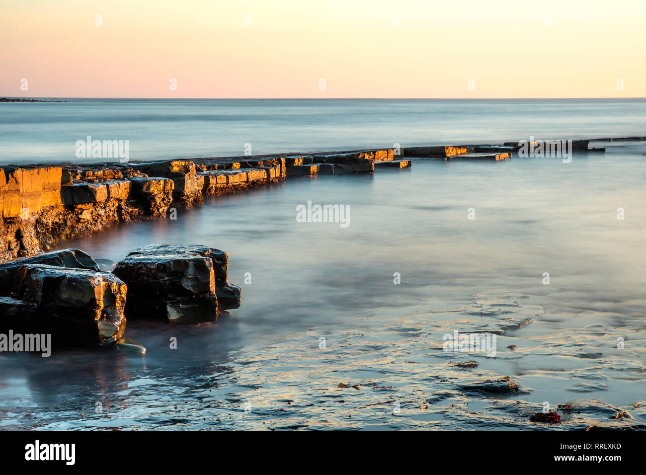 Kimmeridge Leiste bei Ebbe bei Kimmeridge Bay Dorset England ausgesetzt Stockfoto