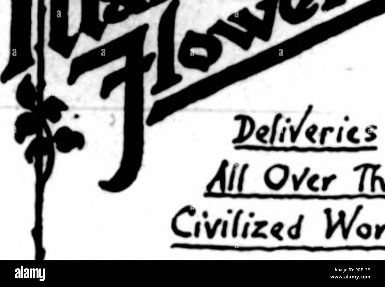 . Floristen Review [microform]. Blumenzucht. Die Vervielfältigung von Werbung - in führenden New Yorker Zeitungen von Max Schling, Mitglied des F. T. D. yox carv Senden}&lt; tr Ab-tf^e mameni Vou p (ion" u*Voar bestellen - yliih vrv^ mt $ si^e iou. Disire angeschlossenen IO-Iir^c yfoWer $. (In j^ ivtyork-w' Rihm 1 htur^ yoHh "lwt", TK^^ 59 60 Tm 5 t """",%s,^"PiliArits Al (OVtr Tht Civifiztd WorU | 7S5 FIFTH AVE-a'-BEI 60 t "St • n-new yoR/&lt;.. Holen Sie sich Ihr Anteil der Telegraph Aufträge starten Sie Ihre ad nächste Woche durch mailinsf dieses leere heute 19. Floristen PUBLISHING CO.508 South Dearborn St "Chicago können Sie einfügen Stockfoto