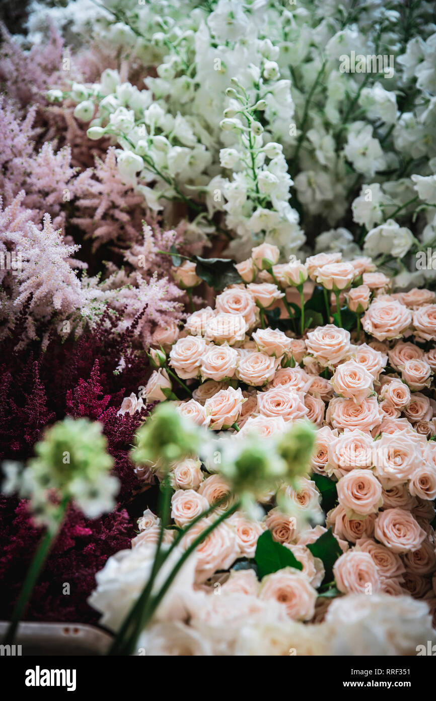 Closeup Haufen von schönen frischen Chrysanthemen Stockfoto