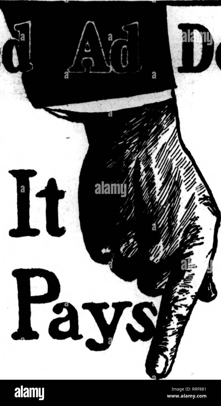 . Floristen Review [microform]. Blumenzucht. 158 Dem Floristen' Bewertung März 17, 1921. ^ Classifie ABELIAS Abelia Grandiflora, 2 Jahre, 1 bis 2 ft., fleld - xrowii, Gut verzweigte, $ 30,00 pro 100. Valdeslan Baumschulen, Bostlo, N. V.^ ACHYRAWTHE 8 Achyranthes, bewurzelte Stecklinge, 2 yarleties, $ 2,00 Er100, Prepaid. B. S. Brant, Ton. Kan. Herbstl Achyranthes, bewurzelte Stecklinge, $ 3,00; 3 V4-ln., $ 5,00 pro 100. Baur Floral Co., Erie. Pa Achjrranthes, Gelb, 2%-in., 4c. Charles Sherwood, Waterloo. la. Achyranthes, Rot, 3-lnch, $ 5,00 pro 100. F. H. Parfcer, Fort Scott, Kan. ADIANTUM 8 Adiantum Stockfoto