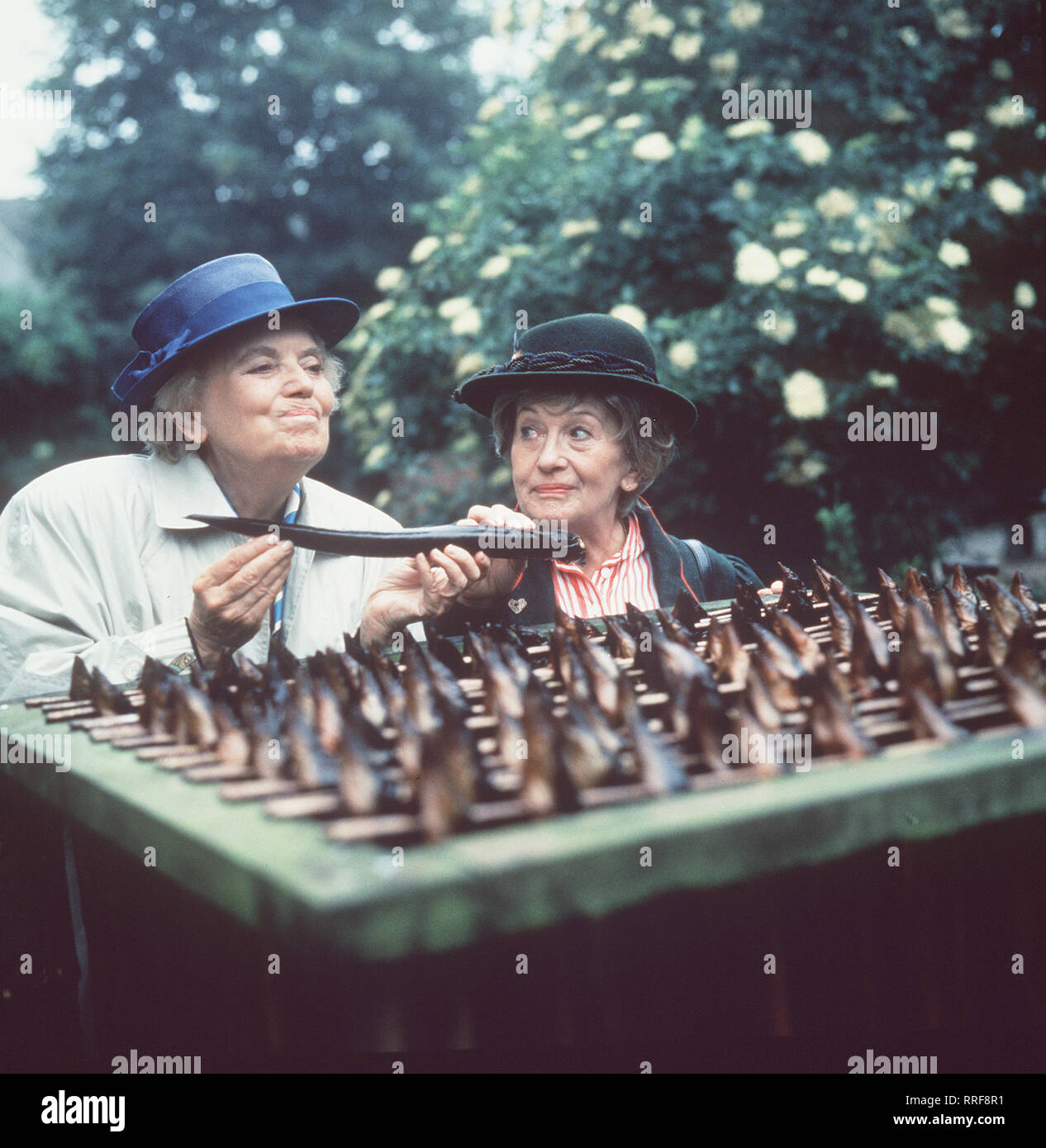 HEIDI UND ERNI/4. Der Schorsch ist weg / Nach dem ersten großen Streit ist Heidi Käslinger (HEIDI KABEL) / Cuxhaven Abgreist. Erni (ERNI SINGERL) nimmt die Verfolgung auf und kommt zum ersten Mal in ihrem Leben die Waterkant. Erni stellt Heidi in einer der Wattfahrten, von deren Familie lebt. Der offene Meinungsaustausch wird heftig und dauert, doch schließlich sterben Nummern-oper Witwen zueinander finden... / 36301-0/-55726, 16 DFAHeidi/Überschrift: HEIDI UND ERNI Stockfoto