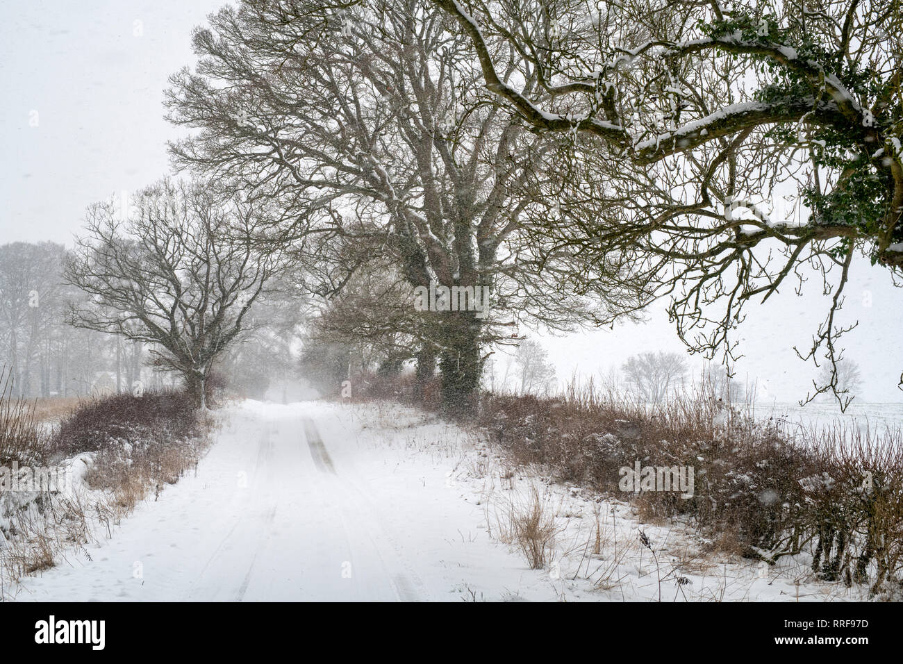 Schneebedeckte Landstraße nahe Eastleach im Februar. Eastleach, Cotswolds, Gloucestershire, England Stockfoto