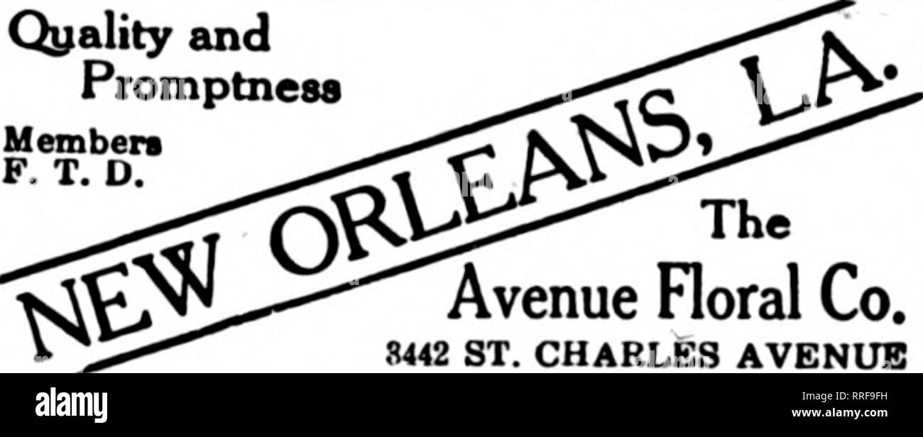. Floristen Review [microform]. Blumenzucht. LOUISIANA - TEXAS - ARKANSAS SHREVEPORT. LA. ALEXANDRIA, LA. E.BLUM &Amp; Sohn für Al Punkte in zentralen Louisiana LAKE CHARLES UND SÜDWESTEN LOUISIANA Mitglied F.T.P. CHAS, D. OTIS BATON ROUGE, LA. Das ROSELAND FLORIST F. T. D.5 TURGIS, mich Memlxir F. T.D. Coldwater, AH mich. Also... 23.38.39, polnte HILLSDALE, Mich. Ich Mi. i:;:;;;;;;;;: ^7 Gin&gt;. o. A. Stoll ^-^-°, Mitglied Battle Creek, Michigan^. W. COGGAN. Florist. 25 Main St. Mitglied r'Floristen Telejrraph Lieferung SAGINAW, 23.38.39. c^W^^S iuiy •^^^ -^- WITHERIDGE. Vorschl. P L&gt; nw h^RS. 4, pg g^^o Stockfoto