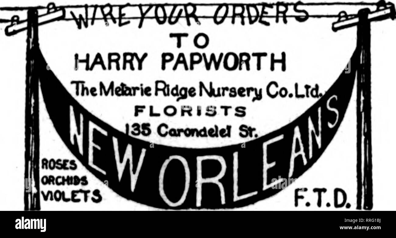 . Floristen Review [microform]. Blumenzucht. Decatur, 111. 141 MERCHANT ST. Guter Service MITGLIED S. T. D. UNTERSTÜTZT VON großen Gewächshäusern. NEW ORLEANS, LA. CHAS. EBLE ÄLTESTE FLORIST SÜDEN 121 Baronne Street Mitglied Floristen "Telegraph Lieferung. Bitte beachten Sie, dass diese Bilder sind von der gescannten Seite Bilder, die digital für die Lesbarkeit verbessert haben mögen - Färbung und Aussehen dieser Abbildungen können nicht perfekt dem Original ähneln. extrahiert. Chicago: Floristen Pub. Co Stockfoto