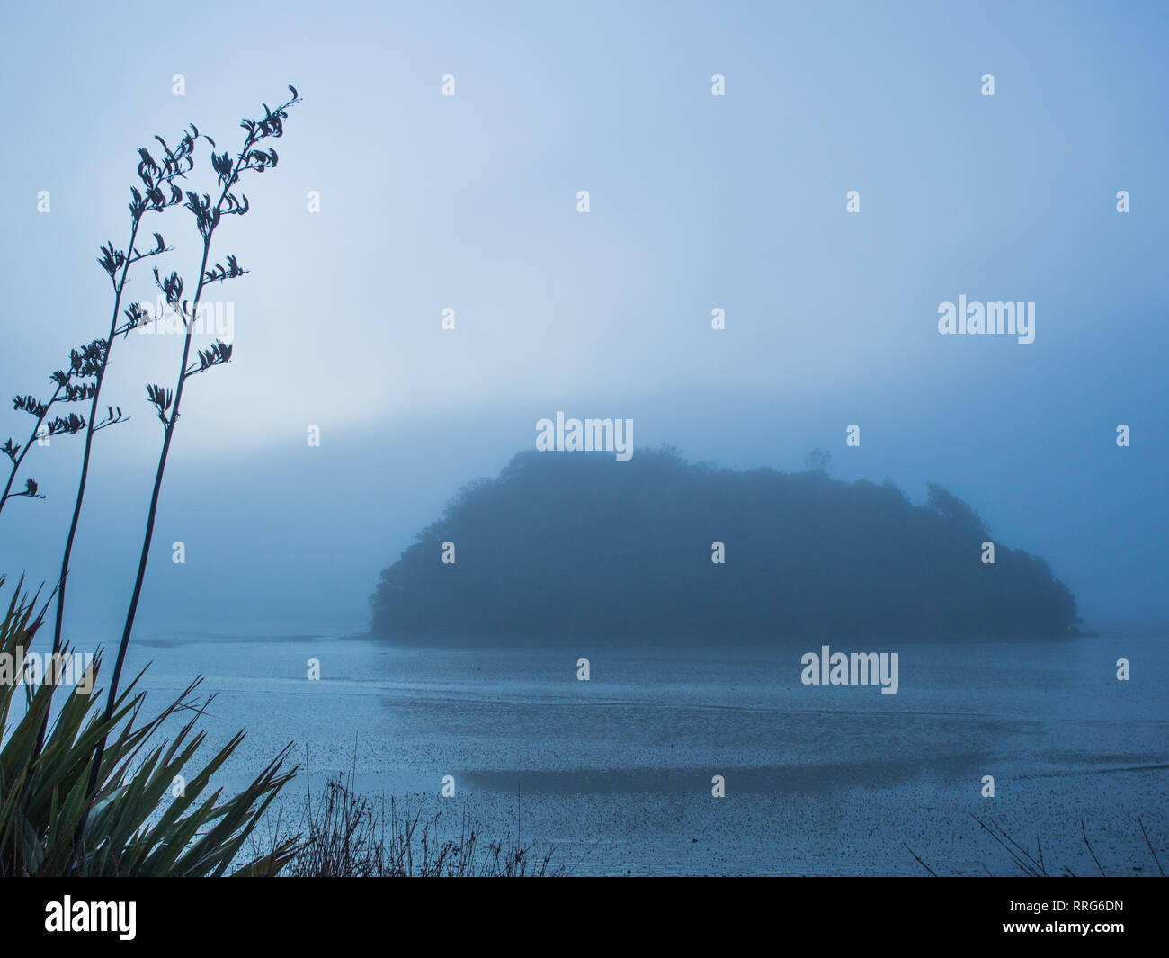 Motu Tawa, Mokau, Taranaki, Neuseeland Stockfoto