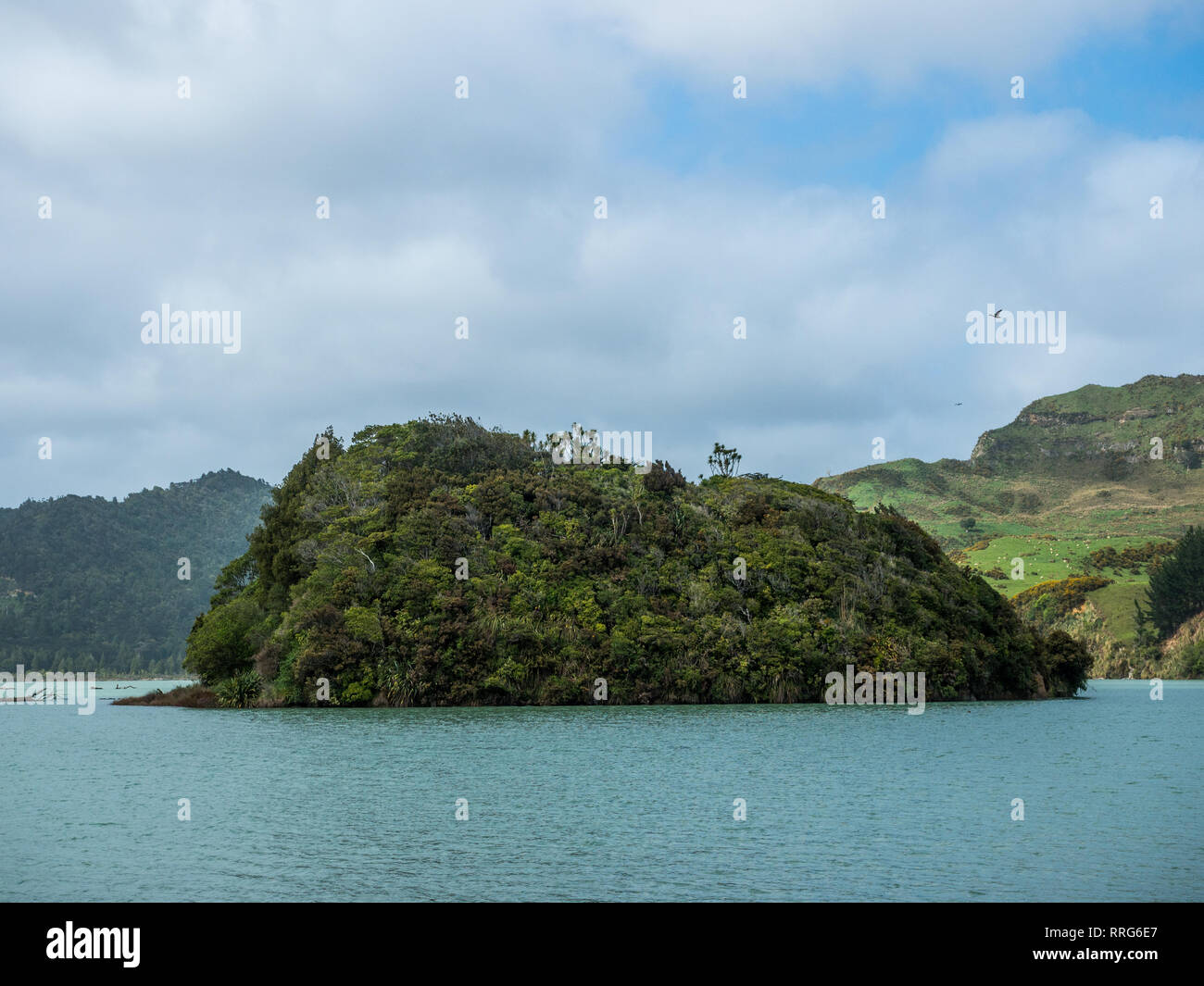 Motu Tawa, Mokau, Taranaki, Neuseeland Stockfoto