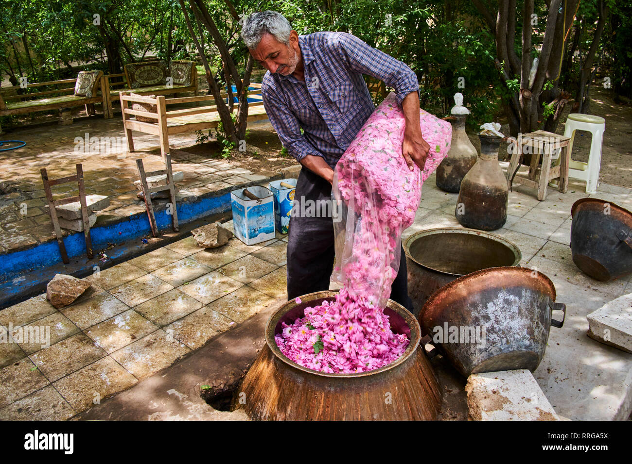 Destillation von Rose für die Herstellung von Rosenwasser, Kashan, Provinz Isfahan, Iran, Naher Osten Stockfoto