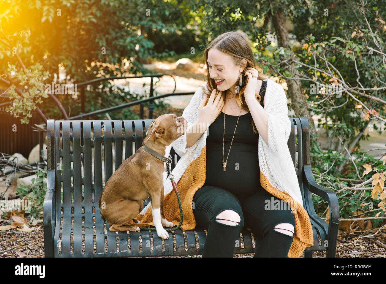 Ein Hund mit ihrer Besitzerin sitzen an einem Tisch und werden bei jedem anderen Suchen in einer glücklichen Weg Stockfoto