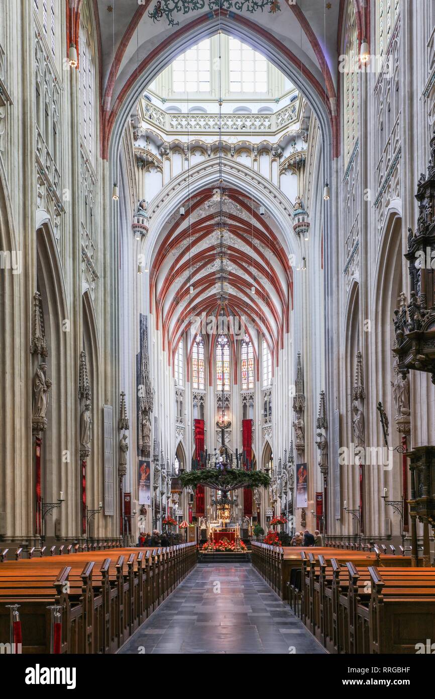 St. Johannes Kathedrale, Den Bosch, Niederlande, Europa Stockfoto