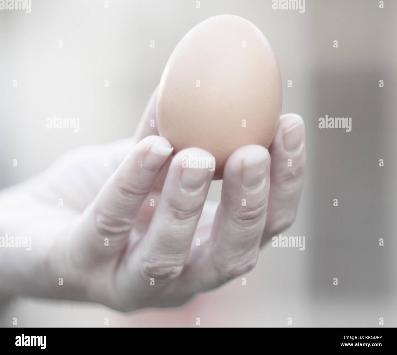 Eine Hand mit einem zarten Braun Huhn ei Stockfoto