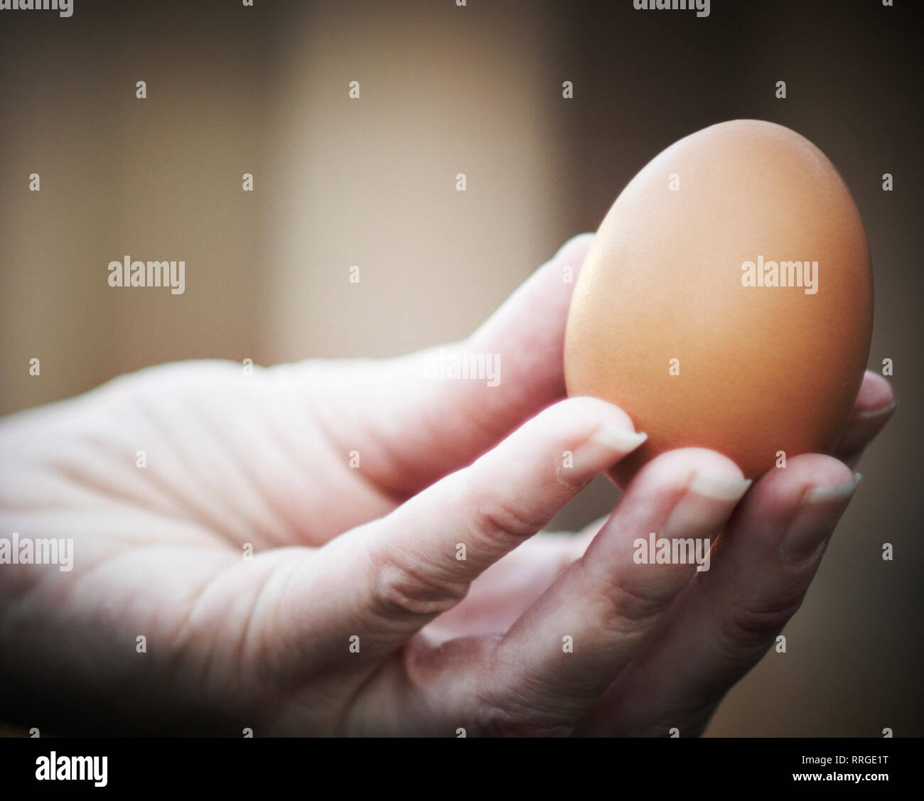 Eine Hand mit einem zarten Braun Huhn ei Stockfoto