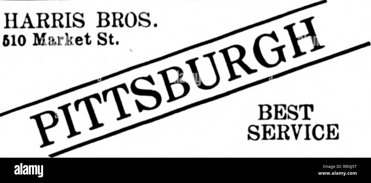 . Floristen Review [microform]. Blumenzucht. PITTSBURGH UND UMGEBUNG F. T. D.-A.-W. Smith Flower Stores Firma Keenan Building, Pittsburgh, PA. "Pittsburgh, PA FRAU. E. WILLIAMS 621 PENN AVENUE Mitglied P.T. D. in Pittsburgh E.C. LUDWIG FLORAL CO710 E. Diamond St. Mitglieder F. T. D. Pittsburgh, PA EANDOLPH&amp; McCLEMENTS Floral Experten 6936 PENN AVENUE Mitglieder der Floristen "Telegraph Lieferung Pittsburgh, PA. Ludwig Floral Co 502 FEDERAL STREET HARRIS BROS 510 Market St.. Besten SERVICE Scranton, PA. A.L. BESANCON &Amp; CO.FloriBta und Dekorateur * Adams Ave. und Fichte St., lS^bl Stockfoto