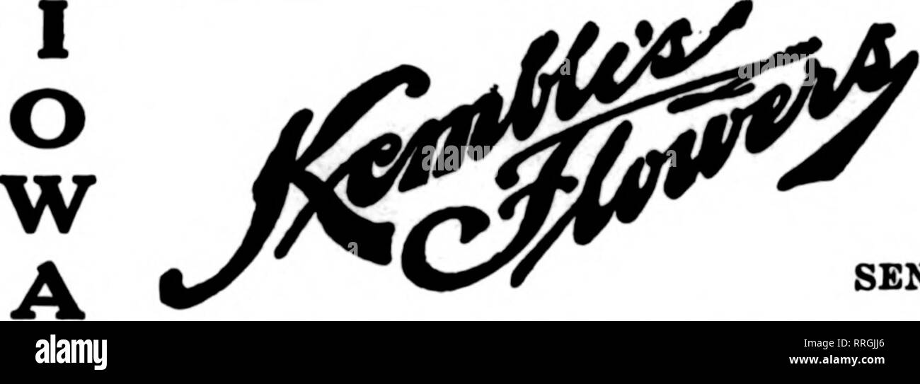 . Floristen Review [microform]. Blumenzucht. DAVENPORT, Iowa UND DER WESTERN ILLINOIS G. F. FORBER, 313 Brady Street Mitglied Floristen "Telegraph Lieferung Association. Marshalltown, Boone, Centre-ville, Oskaloosa, Oelwein, Mason City, Chariton, Grinnell und Ottumwa. Senden SIE IHRE BESTELLUNG AN HAUS NÄCHSTE ORT DER LIEFERUNG kam und bestellt, dass Design für Seines Sohnes Beerdigung. Er wusste genau, was er wollte. Er wollte eine Plakette von Galax Blätter, mit einem blauen Herzen von immortelles und die Hälfte ein rotes Herz,- zinsgarantie seinen eigenen gebrochenen Herzen, mit den Worten: "Papa wird schon bald mit Ihnen sein, "um den plaq Stockfoto