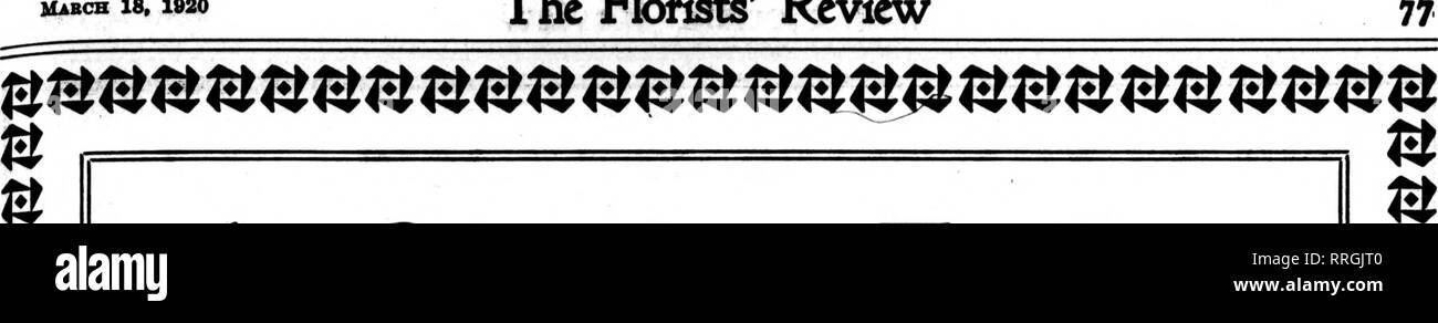 . Floristen Review [microform]. Blumenzucht. Mabch 18, 1920 Dem Floristen^ überprüfen. &Amp;&amp; B&AMP;U n n n n n B B B B B B B B B B B B B EINE GRÖSSERE Ostern Die oudook ist sehr vielversprechend für eine größere Ostern dieses Jahr als je zuvor. Sie sollten mit allen Mitteln bemühen, können möglicherweise ihren Anteil am Geschäft zu erhalten. Anlagen- und Schnittblume Körbe wird viel in der Nachfrage. Um auf einmal ein $ 25,00, 50,00 $ oder $ 100,00 aussortieren. Wählen wir für Sie eine gute Auswahl für Sie. Einen erweiterten Service vergessen Sie nicht -^ in unserem Bemühen, mehr Service für Sie zu sein, die wir für uns festgelegt haben Zweig Haus i Stockfoto