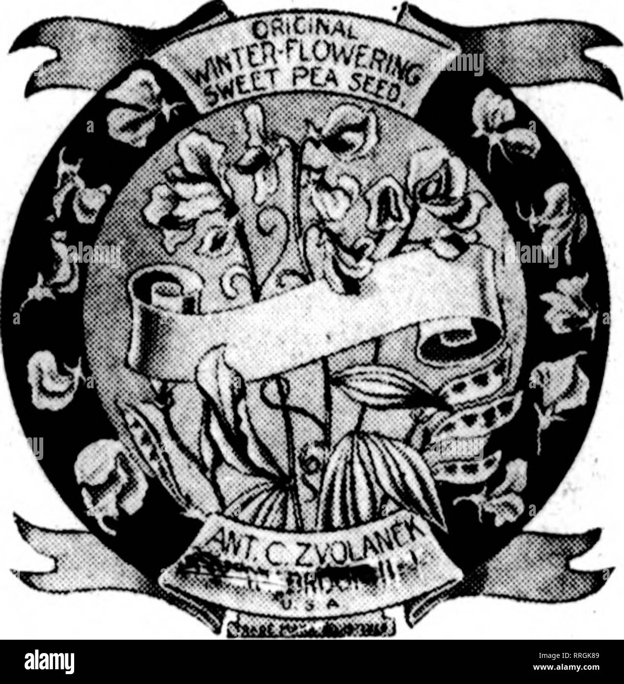. Floristen Review [microform]. Blumenzucht. 102 Die Floristen^ Review Juli 8, 1920 Papier weiß tlian je zuvor und dass die kleine Ernte kann sich genug zu sein. Römer werden Versand pro-mits aus dem gleichen Grund Sie letztes Jahr waren, abgelehnt werden. Kleine Treuhänder klagt Peck. Die Lamasco Bank ernannt wurde re-pcivor der Pave Peck Seed Co., Kvansville, Ind., vom Richter Lockyear in dem Verlassenschaftsgericht Juni 26 bei Evans-ville. Die Ernennung eines Empfängers für das Geschäft des Unternehmens und $ 60 zu behandeln, - 000 Schäden wurde durch die MERCAN - Fliese - Commercial Bank, Treuhänder für W. H. Klein&amp; Co., in s gebeten Stockfoto