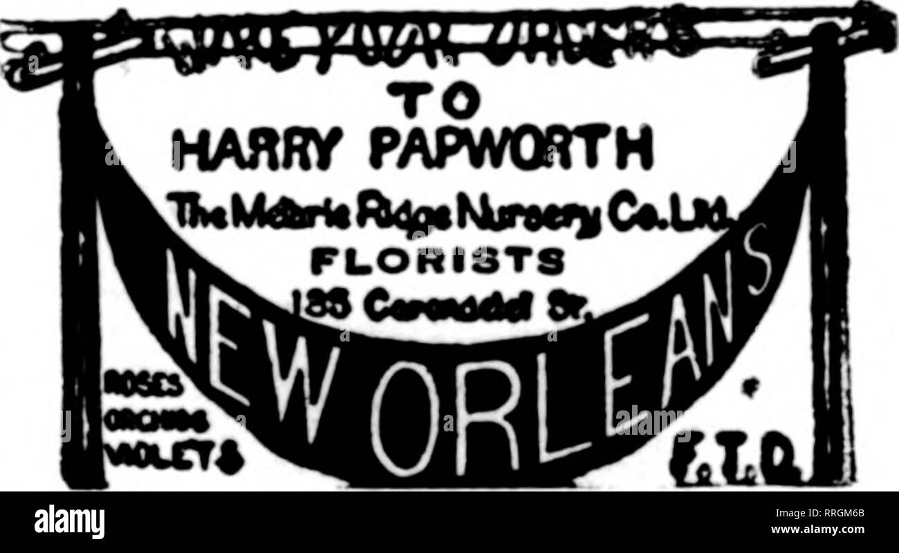 Roseland avenue Fotos und Bildmaterial in hoher Auflösung Alamy