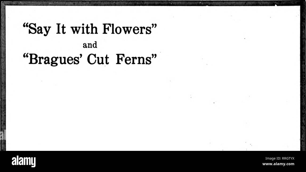 . Floristen Review [microform]. Blumenzucht. Ich erwähne die BctIcw, wenn du schreibst. Hatte eine ungewöhnliche Nachfrage nach chinesischen Lilien. Er verfügt über mehr als sechs Matten bis zu dieser Zeit und die durchschnittliche verkaufte in den vergangenen Jahren reichten von einem bis zu zwei Matten pro Saison. George A. Comley wurde letzte Woche besetzt mit einer Reihe von wichtigen Hochzeiten. Er hatte auch einen großen dekorieren Job. J.H.Klein &Amp; Söhne haben für diesen Monat eine Vielzahl von großen Hochzeiten gebucht. Die Lieferung Wagen der Louise Flower Shop wissen nicht, was es bedeutet, die geparkt werden sollen, da sie auf der Flucht von morgens bis in die Nacht gehalten werden. Miss Daugherty hat einen lar gebucht. Stockfoto