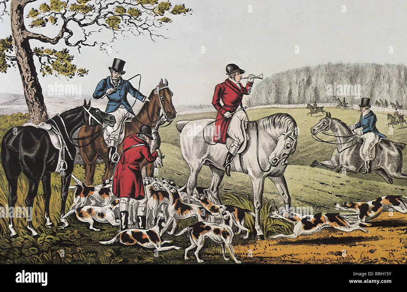 Fox Chase, der Tod. Stockfoto