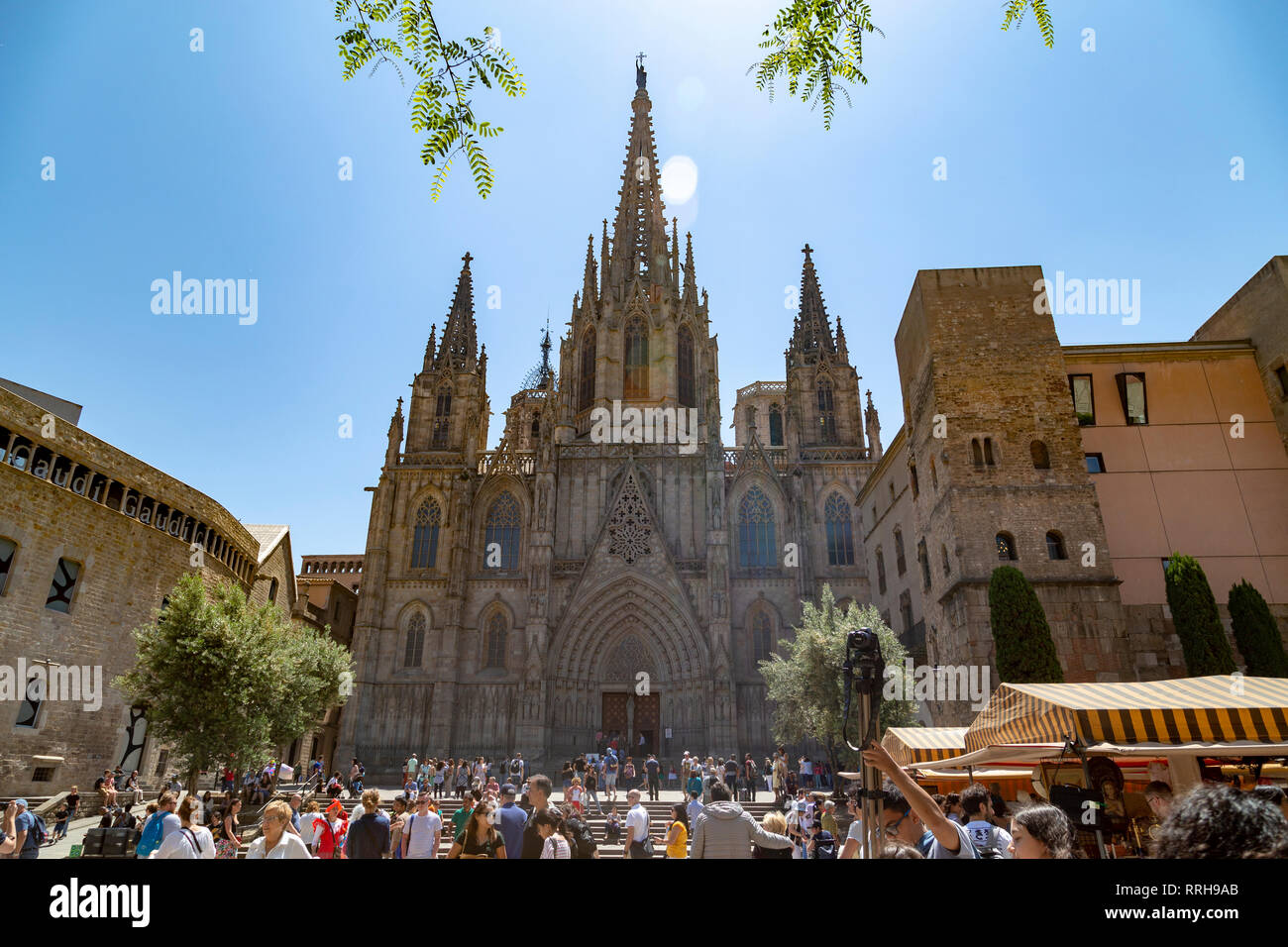 Die Kathedrale von Barcelona, die Kathedrale des Heiligen Kreuz und der Heiligen Eulalia, Barcelona, Katalonien, Spanien Stockfoto