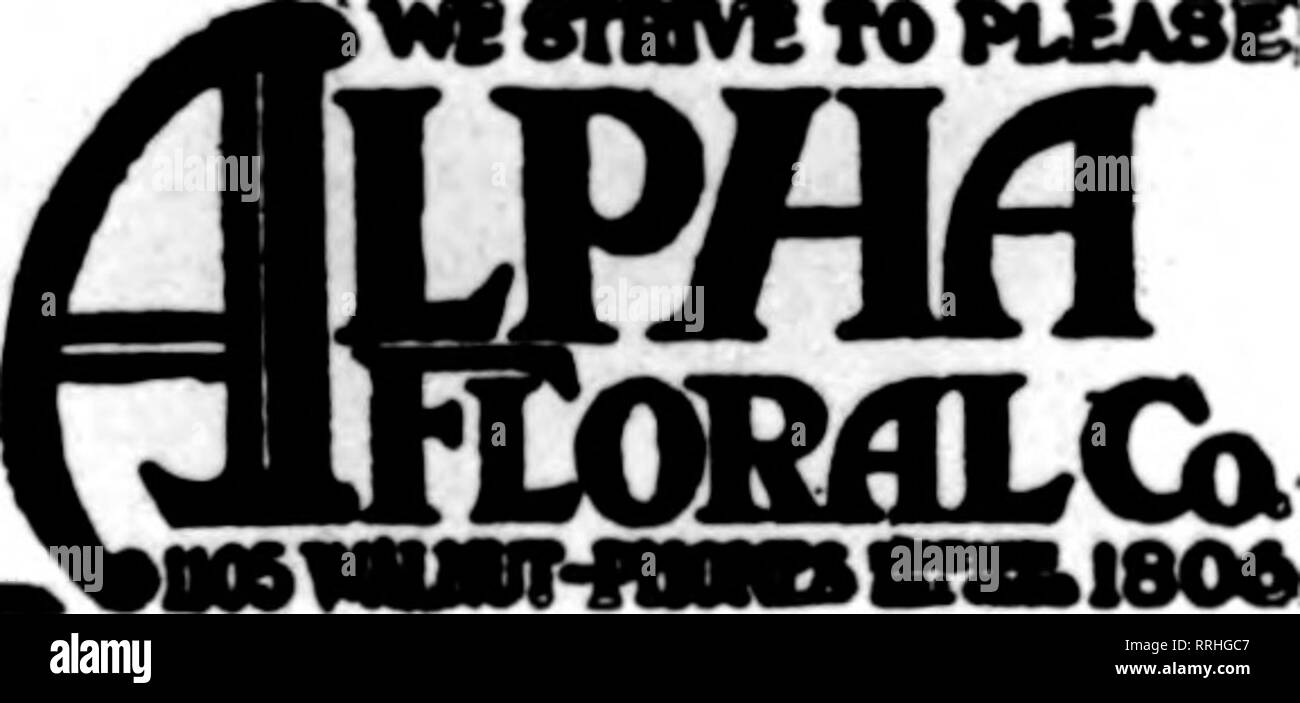 . Floristen Review [microform]. Blumenzucht. Blumen Unternehmen 225.000 Fuß aus Glas Mitglieder Floristen * Telegraph Lieferung Verband Samuel Murray KANSAS CITY. MO. 1017 GRAND AVE. Mitglied der Floristen * Telegraph Lieferung Verband ST. JOSEPH, MO. QUENTIN FLORAL CO. Bestellungen f r Iowa, Nebraska, Kansas und Missouri ST. LOUIS, Missouri DIE BLÜTE SHOP Aktuell Service. 4110 Manchester Ave. WEBB CITY, MO. J.E.Meinhart, 416 S. Pennsylvania Avenue Joplin, MO FLORAL^ SHOP J.E.MEINHART. Vorschl.. 216 VV. 4 St. Business auf der gleichen Grundlage wie alle anderen hochwertigen business, zu solchen Treffen Stockfoto