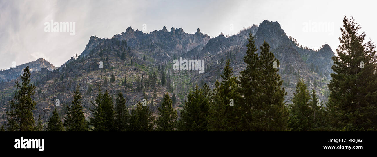 Ein Blick nach oben auf die Gipfel über Icicle Creek Canyon in der Zentralen Kaskaden von Washington State, USA. Stockfoto
