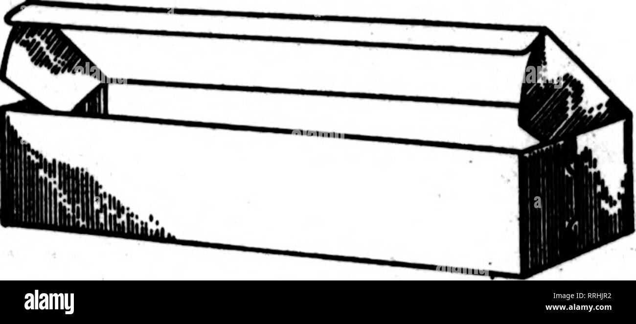 . Floristen Review [microform]. Blumenzucht. si der Floristen Review Febbdabt 20, 1919. Verschiedene Noten. In Außenbezirken Narzissen sind ein Zoll oder mehr über dem Boden. Einige der Laub des letzten Jahres ist noch Grün von Absicherungen von Wichuraiana Rosen. Der robin und Song sparrow sind beide hier. Bauernhof - ers sind Pflügen auf Long Island. Alle beweise einen frühen Frühling, aber noch - Wir haben noch nicht von der jährlichen Tötung der Pfirsich Knospen lesen. Eine weitere Sitzung der gärtnerischen Interessen war in der S.A.F. Büros 14. Februar statt und dauert bis weit in den Abend. Unter den Anwesenden waren J. D. Eisele, der Dr Stockfoto