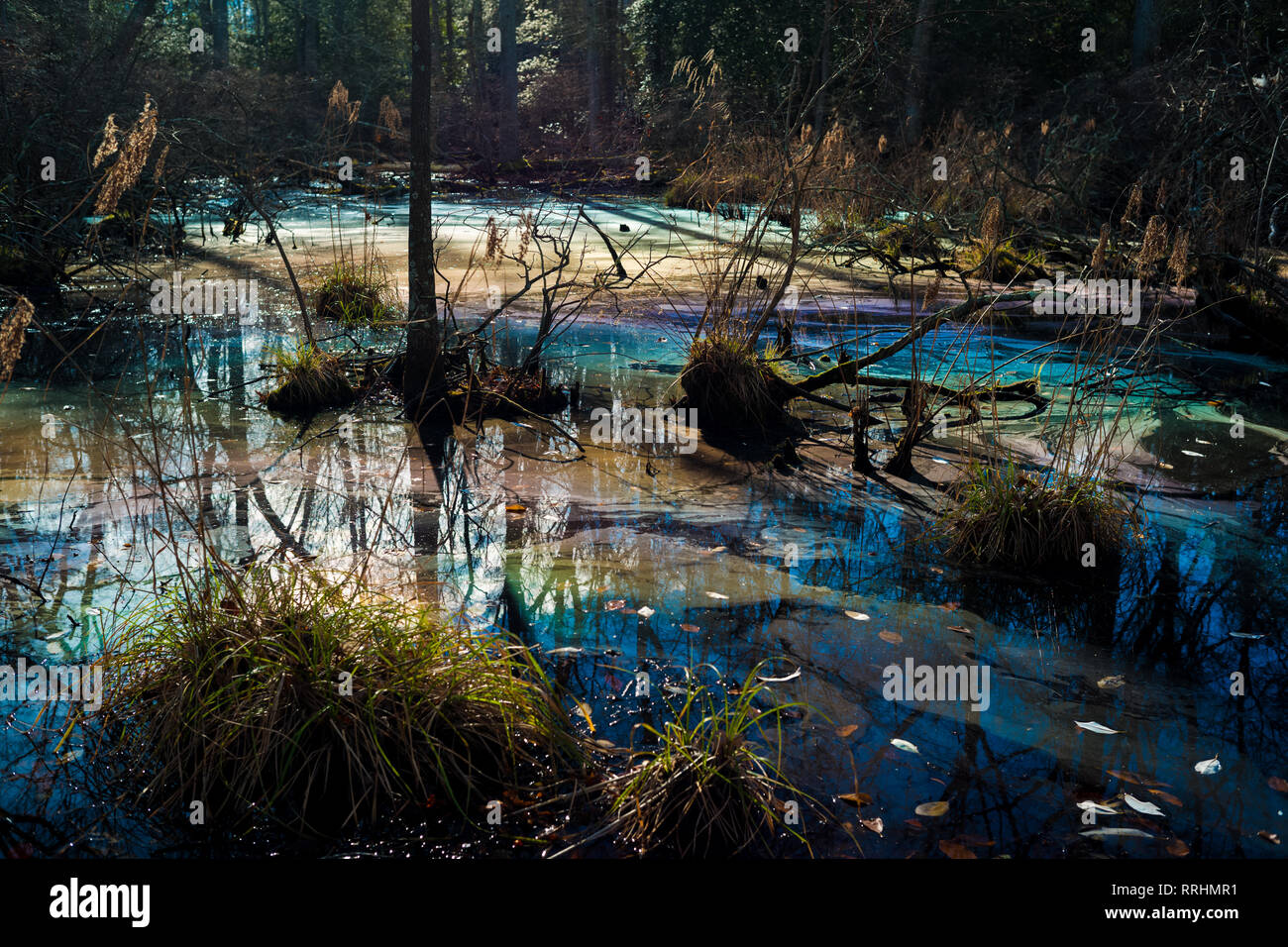 Farbenfrohe giftige Wasserverschmutzung in Feuchtgebieten der Gefahr für die Umwelt Umwelt. Stockfoto