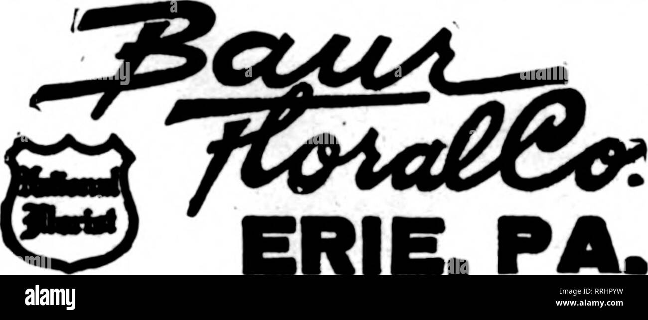 . Floristen Review [microform]. Blumenzucht. NORFOLK'S TELEGRAPH FLORIST, Festung Monroe, Virginia. Soeci&amp; l Messenger Service vor Ort, $ 1,00 Die Floristen "Telegraph Lieferung Association. UNIONTOWN, PA. "Die führenden FlorisU "STENSON & Amp; McGRAIL, 1*11 Morgantown Straße frischen heimischen Pflanzen und Schnittblumen jederzeit Giles, das Blumengeschäft lesen, PENNA. Mitglied F. T. D. J. V. SCHICHT ERIE, PA. Schreiben, anrufen ffcSSfp orWirex'' hWv^. ERIE, PA. PITTSTON, PA. n?i"°* MARTHA HUNTLEY HOUSER Mitglied von F. T. D, 8 Williams Street HUNTINGDON PA J. LESLIE LAIRD OIIARANTREn WARREN, PA. Cresc Stockfoto