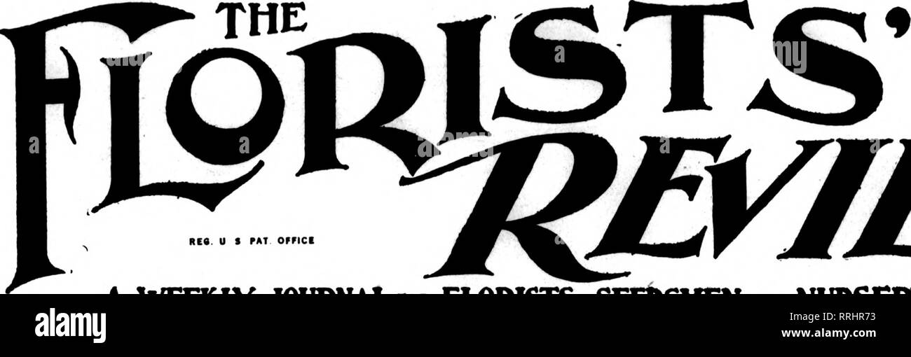 . Floristen Review [microform]. Blumenzucht. FLORICULTUBj:. Abonnements $ 1,80^ •^ Jahr^^ EINE WÖCHENTLICHE JOUBNAL TmiEH" * f LORISTS. SEEDSMEN" "Baumschulen. IXOBISTS' PUBLISHING OO.. SSO Caxton Bnlldiiur. 508 South Daarbom St., OHIOAeO VOL. XXXIX. CHICAGO. Am 25. Januar. 1917. Nr. 1000 Knötchenförmige verwurzelt Begonien Doz. 100 1000 Single - Scharlach, Weiß, Rot, Orange, Rosa, Gelb $ 0,50 $ 3,00 $ 25,00 Doppelzimmer - Scharlach, Weiß, Rot, Rosa, Gelb 60 4.00: 55.00 Gloxinias-In 6 namens sortiert 50 3,60 30,00 Asparagus plumosus Nanus nett, mollig, grünes Haus angebauten Samen, Pro 100. 50 c; pro 1000,13.25; 5000 für $ 15. Stockfoto