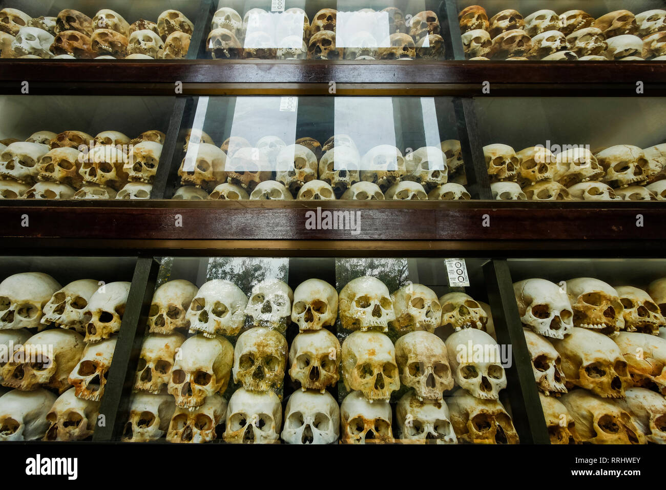 Einige der 5000 Schädel der Khmer Rouge Opfer in der Gedenkstätte Stupa in den Killing Fields, Choeung Ek, Phnom Penh, Kambodscha, Indochina Stockfoto