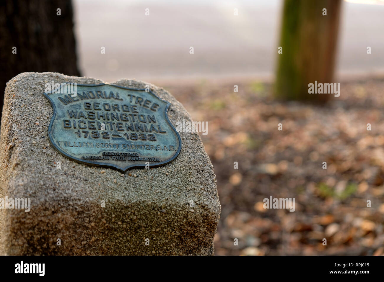 Die geburt von george washington