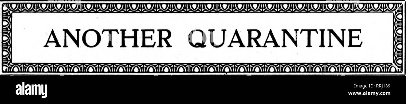. Floristen Review [microform]. Blumenzucht. Febbdabt 19, 1020 Dem Floristen^ Review 21. BANiaNO DER MAIS BOBER. Vorgeschlagene Quarantäne des Ostens. Der letzte Aspekt des Quar-antine Ghost, die unter uns Stiele, Lay-ing seine repressiven Hand hier und dort, in einer Bekanntmachung der Sekretär für Landwirtschaft gegeben, unter dem Datum des 30. Januar, dass die Wahrscheinlichkeit einer Quarantäne über das Verbot der Bewegung von den Neu-england-Staaten. New York und Pennsylvania von "schnittblumen oder ganze Pflanzen von Chrysanthemum, Aster, Cosmos, zinnia, Malve, schneiden auch Blumen oder ganze Pflanzen von Stockfoto