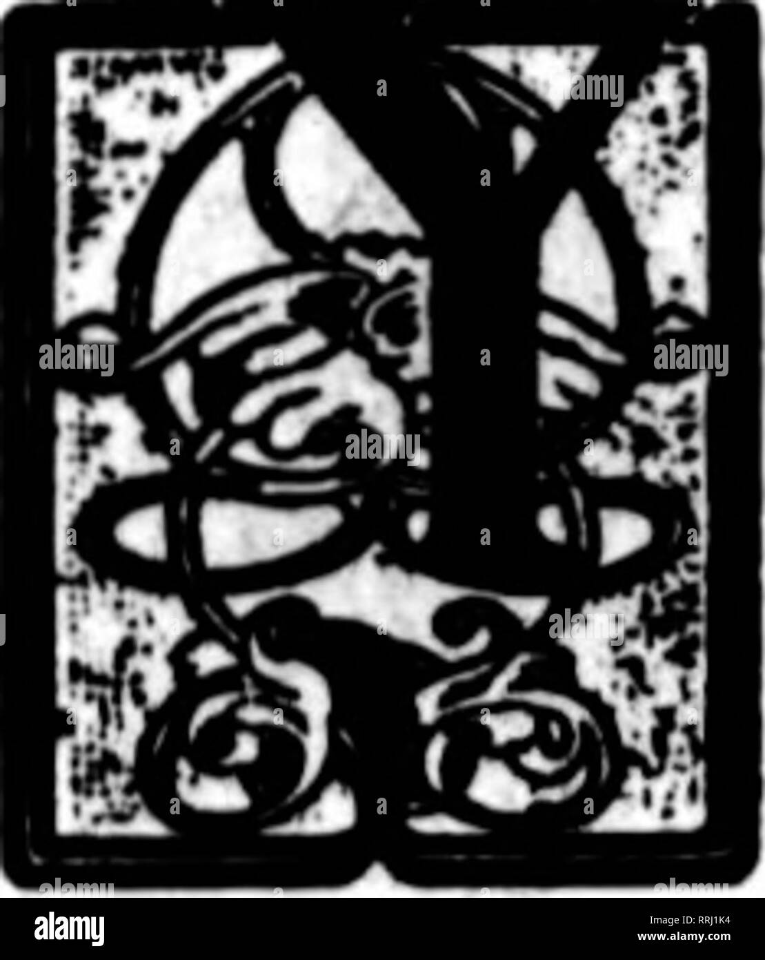 . Floristen Review [microform]. Blumenzucht. OCTOBEH 18, 1917. Die Floristen^ Review 27 POMPONS SIND BEREIT, Es wird Sie Zahlen zu drücken Sie | 0 U denken Sie daran, wie Ihre Kunden nahmen zu den Pompon Mamas im letzten Jahr, besonders früh in der Saison. Wir haben jetzt eine Larg^e Versorgung in allen Farben und Arten - Jetzt drücken, während Sie eine Neuheit sind. Preis, 35 C bis 75 C pro Bündel.. Alle farben Mamas alle Größen Wir feine Lager bieten, die Produktion von führenden Chrysantheme Spezialisten vor Ort - wir haben nicht Kalifornien Mamas noch Salat Züchter, die einen Griff - kennen Sie den Unterschied in der Qualität. FANCY ROSE Stockfoto