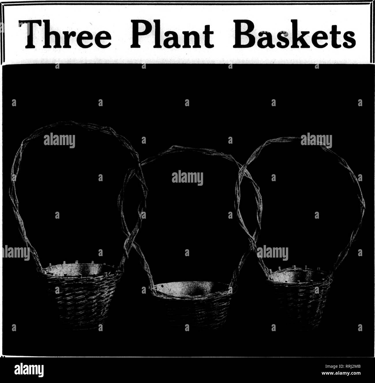 . Floristen Review [microform]. Blumenzucht. APBii - 8. 1920 der Floristen. J-R 111 J-R 112 J-R 109 Drei schöne Körbe in gängigen Größen. Preise bringen Sie die Gewinne aus Geweben aus ausgewählten Amerikanischen willow - von erfahrenen Weber. Bestellen Sie noch heute J-R 111 - 23 % Zoll hoch; hatte in Elfenbein, Nil, Grün;*'^ OC lackiertem Metall liner eingerichtet. Jedes X "^0 J-R 10) - Höhe 21&gt;^Zoll; in Elfenbein oder Nilgrün beendet; QC^^^ mit lackiertem Metall liner geliefert. Jede OOC J-R 112 - 21 Zoll hoch; Öffnung 8&gt;^Zoll; Tiefe von Pan, 4 in.; * 1 CO Elfenbein, Nilgrün beendet; geliefert mit lackiertem Metall Stockfoto