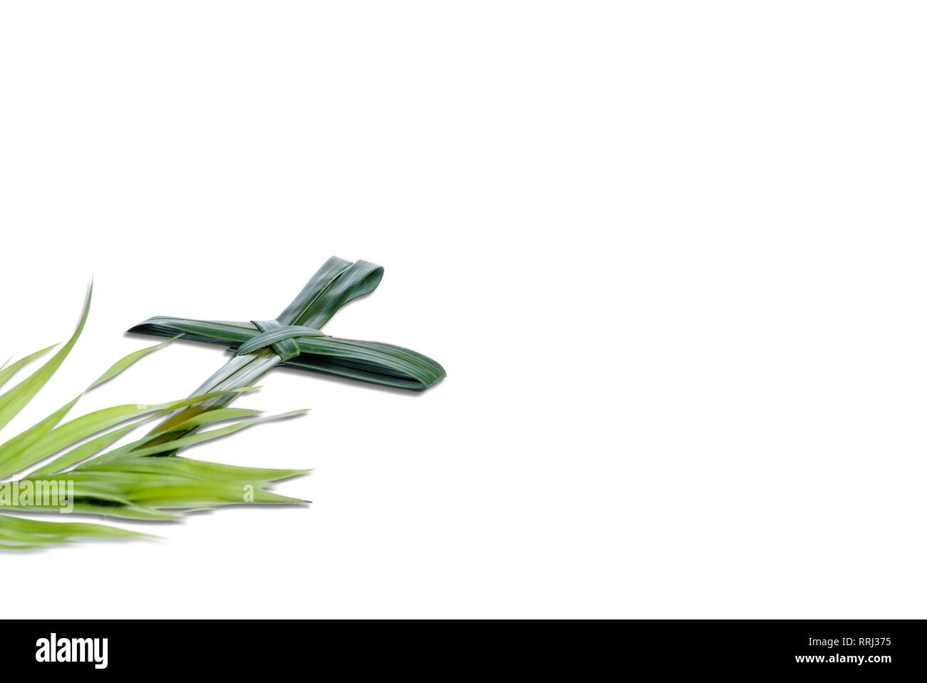 Nahaufnahme der Form von Palm Leaf mit grünen Blättern auf weißem Hintergrund. Palmsonntag Konzept Stockfoto