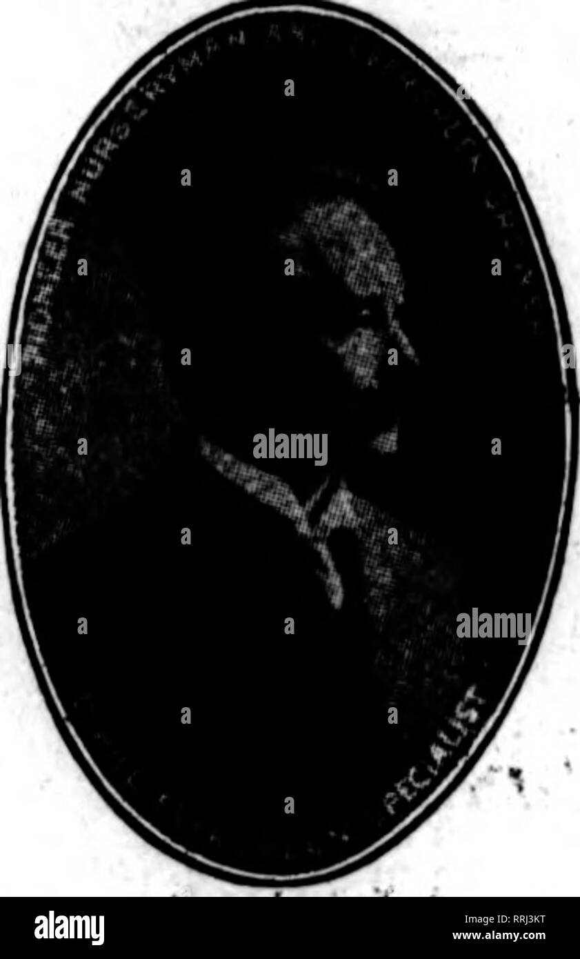 . Floristen Review [microform]. Blumenzucht. November 20, 1919. Die Floristen^ Review 117. Bitte beachten Sie, dass diese Bilder sind von der gescannten Seite Bilder, die digital für die Lesbarkeit verbessert haben mögen - Färbung und Aussehen dieser Abbildungen können nicht perfekt dem Original ähneln. extrahiert. Chicago: Floristen Pub. Co Stockfoto