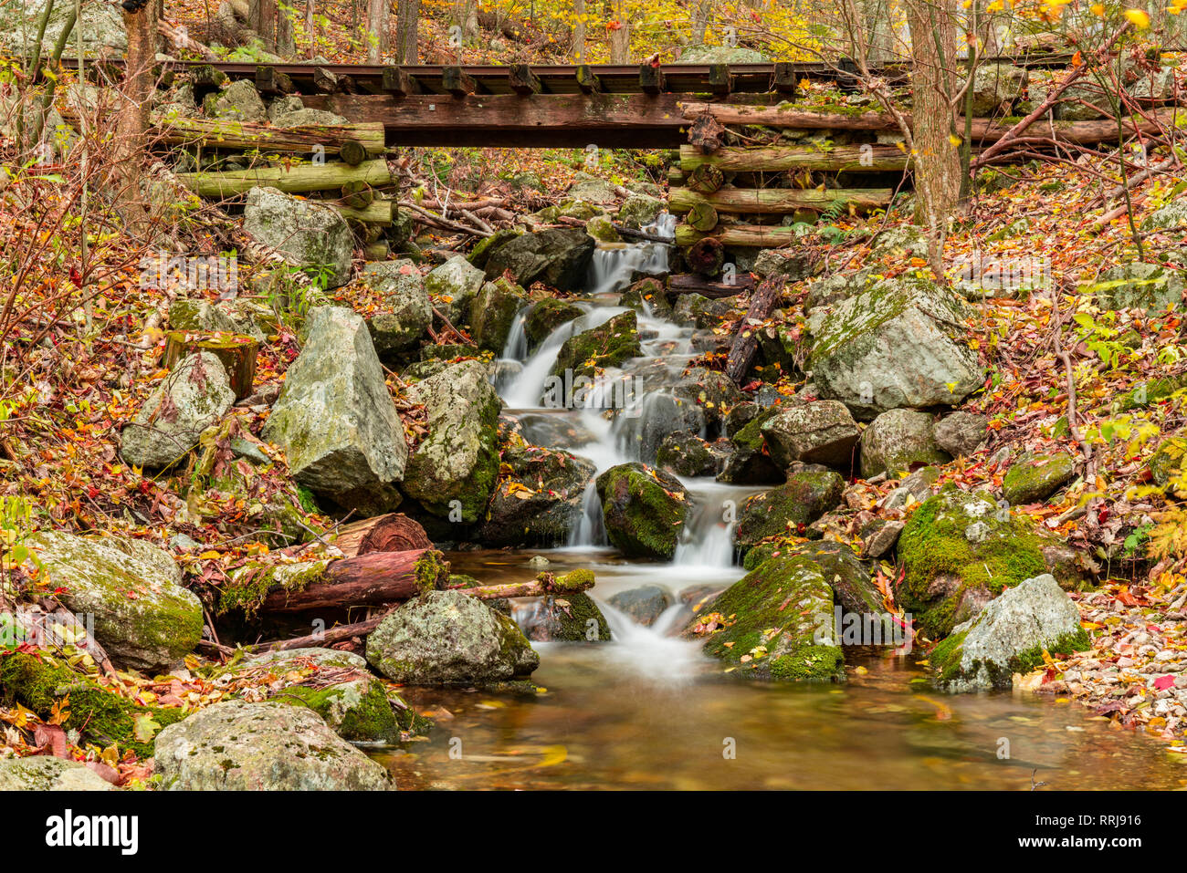 Mountain Stream Wasserfall im Herbst in Shenandoah Nationalpark Stockfoto