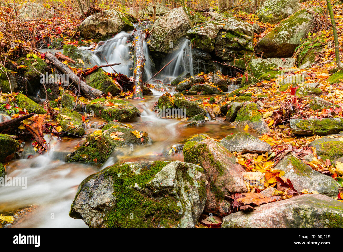 Bunte Blätter an einem Bergbach Wasserfall im Herbst Stockfoto