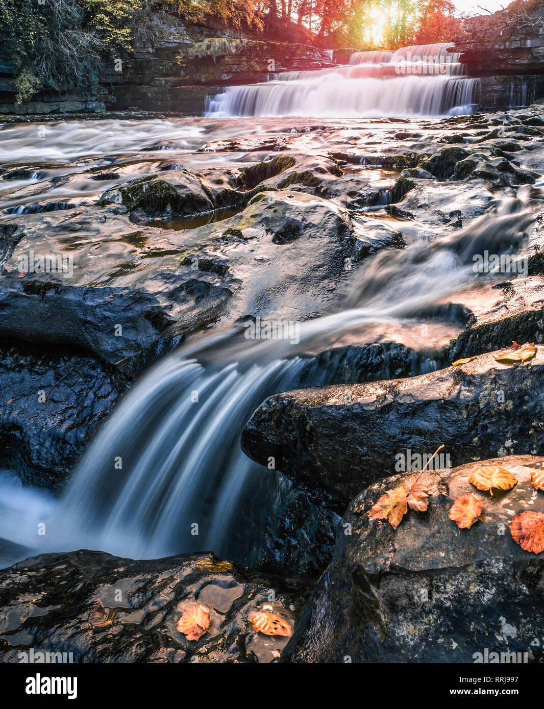 Untere Aysgarth fällt auf dem Fluß Ure, Herbst, Wensleydale, Yorkshire Dales National Park, North Yorkshire, England, Großbritannien, Europa Stockfoto
